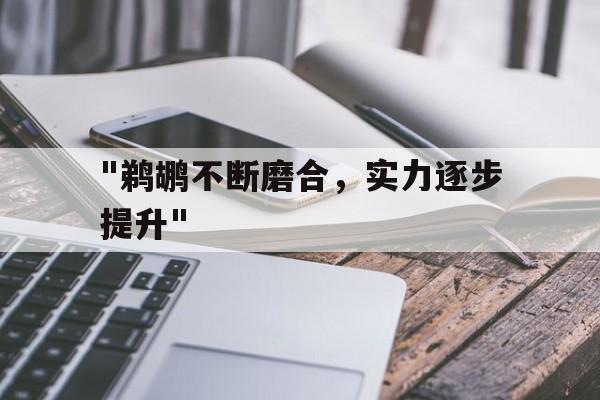 开云官方-包含"鹈鹕不断磨合，实力逐步提升"的词条