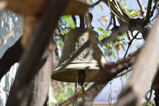 开云中国大陆-NBA球员转会市场动态，nba转会名单