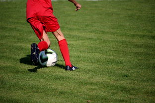 kaiyun.com-NBA球队青训体系建设与人才储备，nba青年队