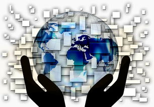 kaiyun体育综合-中国篮球青训体系课程体系优化方案，青训篮球课程教案大全