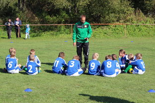 开云中国-德甲球队构建战术模拟平台辅助赛中调整，德甲模式